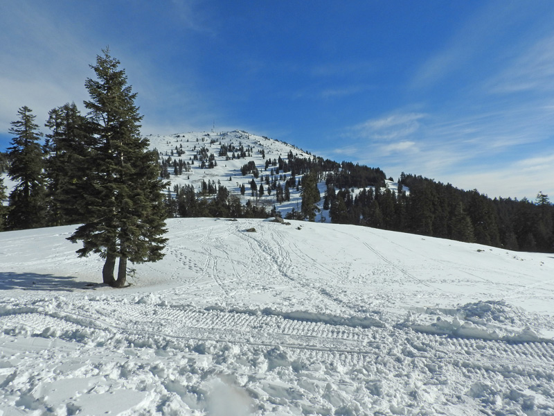 n_X2019-01-14 1048 Mt. Ashland from shelter area.jpg